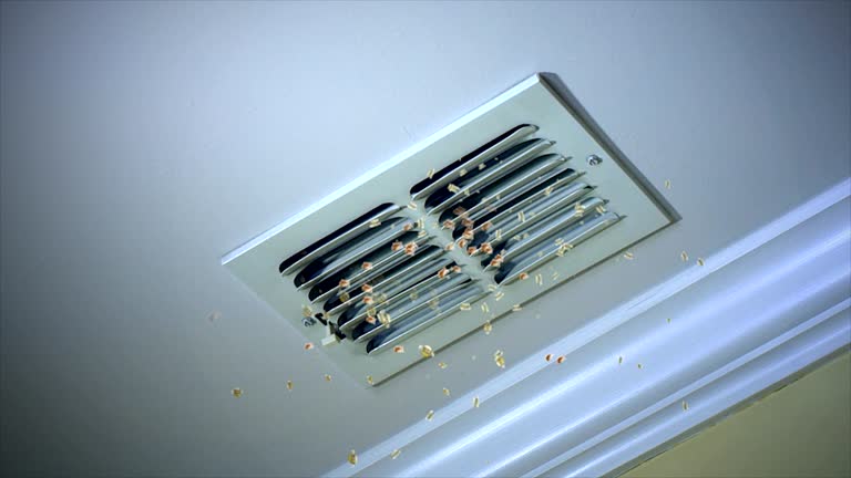 Best Duct Cleaning Specialists  in New York Mills, NY